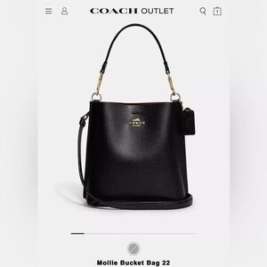 Coach Mollie Bucket Bag 22